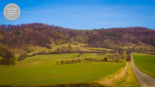 Südliche Burgbergwiesen