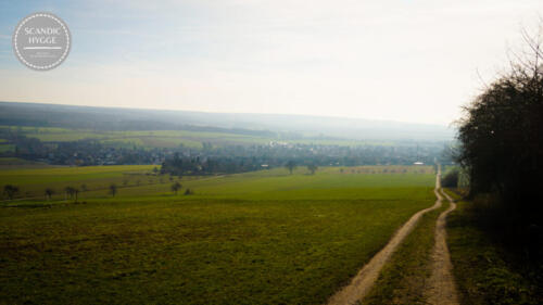 Südliche Burgbergwiesen