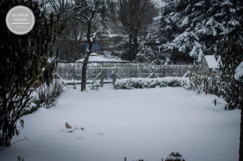 Winterimpressionen vom Garten