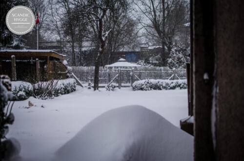 Winterimpressionen vom Garten