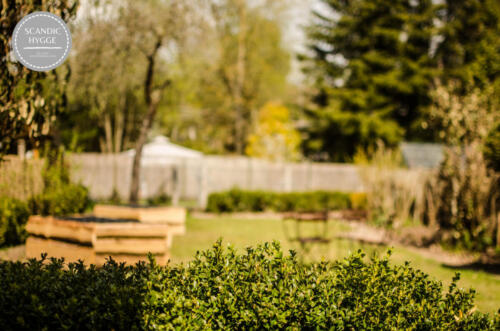 Blick in den Garten im Frühling